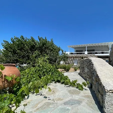 Seethrough Mykonos (adults Only) 普拉迪斯亚罗斯