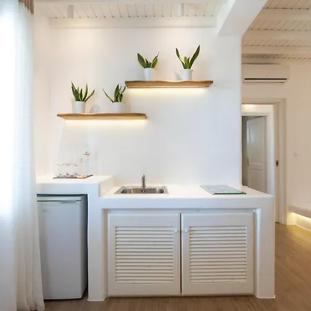 Seethrough Mykonos (adults Only) 4* Πλατύς Γιαλός