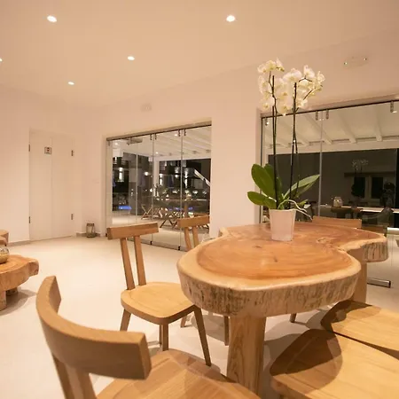 公寓式酒店 Seethrough Mykonos (adults Only)