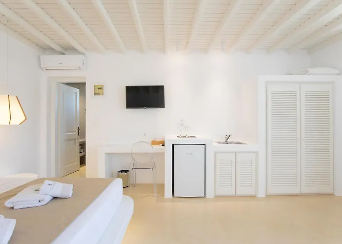 公寓式酒店 Seethrough Mykonos (adults Only)